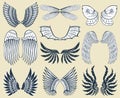 Wings isolated animal feather pinion bird freedom flight natural peace design vector illustration. Royalty Free Stock Photo