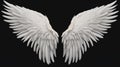Wings isolated  black background , Generate AI Royalty Free Stock Photo