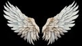 Wings isolated  black background , Generate AI Royalty Free Stock Photo