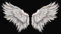 Wings isolated  black background , Generate AI Royalty Free Stock Photo