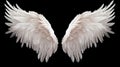 Wings isolated  black background , Generate AI Royalty Free Stock Photo