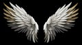 Wings isolated  black background , Generate AI Royalty Free Stock Photo