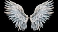 Wings isolated  black background , Generate AI Royalty Free Stock Photo