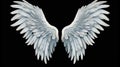 Wings isolated  black background , Generate AI Royalty Free Stock Photo