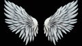 Wings isolated  black background , Generate AI Royalty Free Stock Photo