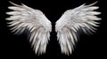 Wings isolated  black background , Generate AI Royalty Free Stock Photo