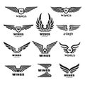 Wings logo set. Modern wing emblems, aviation labels. Abstract minimal army heraldry symbols, isolated black eagle or