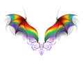 Wings of rainbow dragon