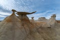 The Wings rock formation, Bisti/De-Na-Zin Wilderness Area, New Mexico, USA