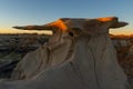 The Wings rock formation, Bisti/De-Na-Zin Wilderness Area, New Mexico, USA