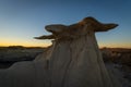 The Wings rock formation at sunrise, Bisti/De-Na-Zin Wilderness Area, New Mexico, USA