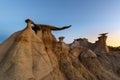 The Wings rock formation at sunrise, Bisti/De-Na-Zin Wilderness Area, New Mexico, USA Royalty Free Stock Photo