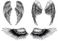 Wings set