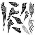 Wings set Royalty Free Stock Photo