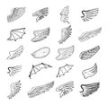 Wings set, vector illustrations Royalty Free Stock Photo