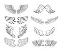 Wings set, vector illustrations