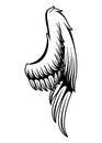 Wings sketch. Stylized birds wings. Hand drawn contoured stiker wing in open position. Vector design elements in