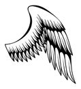 Wings sketch. Stylized birds wings. Hand drawn contoured stiker wing in open position. Vector design elements in