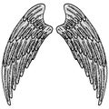 2656 wings, vector illustration, linear drawing of a pair of wings in black and white, isolate, design elements, doodle style Royalty Free Stock Photo