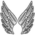 2657 wings, vector illustration, linear drawing of a pair of wings in black and white, isolate, design elements, doodle style Royalty Free Stock Photo
