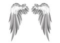 Wings. Vector illustration on white background. Black and white Royalty Free Stock Photo