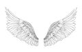 Wings. Vector illustration on white background. Black and white Royalty Free Stock Photo