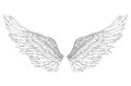 Wings. Vector illustration on white background. Black and white Royalty Free Stock Photo