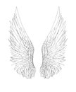 Wings. Vector illustration on white background. Black and white Royalty Free Stock Photo