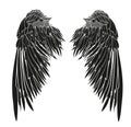 Wings. Vector illustration on white background. Black and white Royalty Free Stock Photo