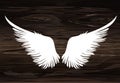 Wings. Vector illustration on wooden background. Black and white