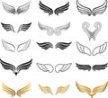 Wings Vector Set.