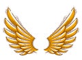 Wings vintage linear design element isolated easy to use, angel raven eagle or falcon.