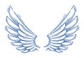 Wings vintage linear design element isolated easy to use, angel raven eagle or falcon,.