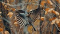 The wingspan of a bird in flight in a forest Royalty Free Stock Photo