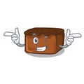 Wink brownies character cartoon style