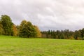 Winkworth Arboretum field Royalty Free Stock Photo