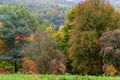 Autumn in Winkworth Arboretum Royalty Free Stock Photo