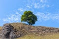 Peak District, Derbyshire, England, Winnats Pass Royalty Free Stock Photo