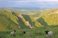 Winnats Pass, Peak District National Park Royalty Free Stock Photo