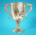 Winner cup Royalty Free Stock Photo