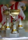 Winner cup Royalty Free Stock Photo