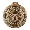 Winner gold medal Royalty Free Stock Photo