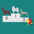 Winner pedestal. Puppy wining a dog show, pet on the first place. Gold trophy Cup on prize podium. Award ceremony animal, doggy ch