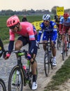 The Winner Philippe Gilbert - Paris-Roubaix 2019