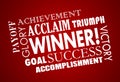 Winner Success Goal Achieved Victory Word Collage