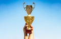 Winner, win, champions cup, prize. Winners holding champion golden trophies. Hand of the person with a sports trophy Royalty Free Stock Photo