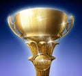 Winners cup Royalty Free Stock Photo