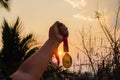 Winners success award concept. Silhouette woman hands raised and holding gold medals with Thai ribbon against sunset light sky Royalty Free Stock Photo