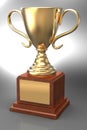 Winning gold trophy award cup plaque Royalty Free Stock Photo