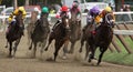 Winning Her First Race Royalty Free Stock Photo